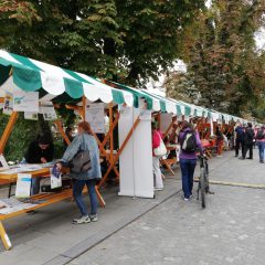 18. Festival nevladnih organizacij LUPA