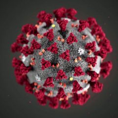 Informacije v zvezi s koronavirusom COVID – 19