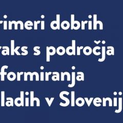 Zbornik “Primeri dobrih praks s področja informiranja mladih v Sloveniji”