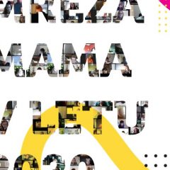 Zaključna publikacija Mreže MaMa 2020