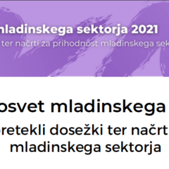 Vabilo na Nacionalni posvet mladinskega sektorja 2021