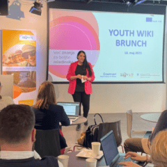 Youth Wiki Brunch: medsektorsko povezovanje za mladinske politike
