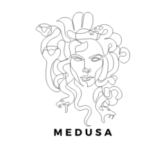 Projekt MEDUSA – Prepoznavanje in odziv na spletno nasilje