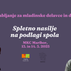 Usposabljanje na temo spletnega nasilja na podlagi spola za mladinske delavke in delavce v Mariboru