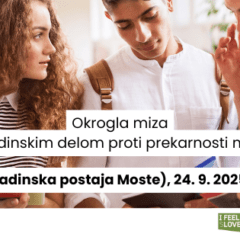 Okrogla miza “Z mladinskim delom proti prekarnosti mladih” v Ljubljani