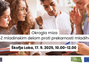 Okrogla miza “Z mladinskim delom proti prekarnosti mladih” v Škofji Loki